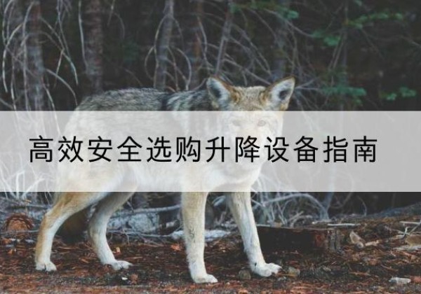 海港升降货梯厂家推荐-*安全选购升降设备指南