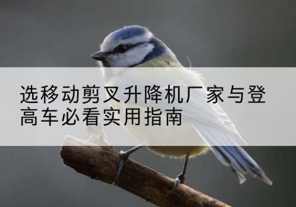 海港电动升降机厂家-选移动剪叉升降机厂家与登高车必看实用指南