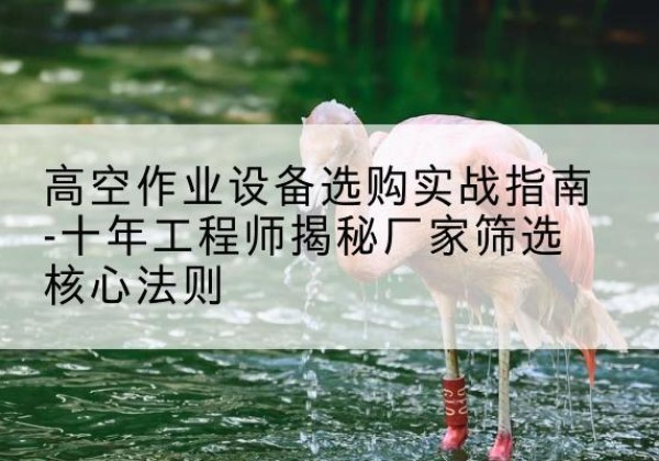 海港剪叉式升降机厂家-高空作业设备选购实战指南-十年工程师揭秘厂家筛选核心法则